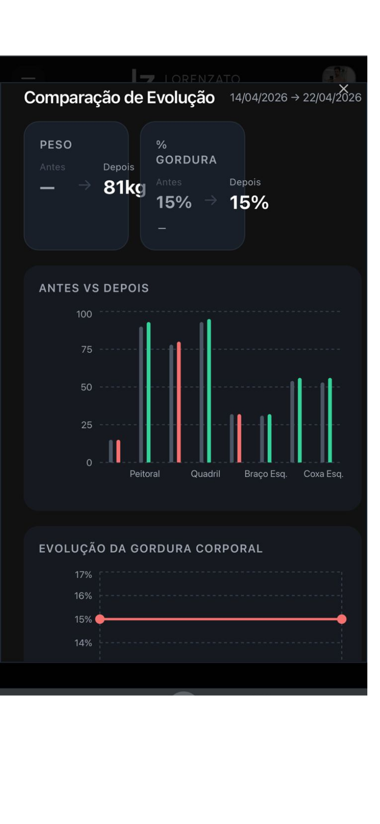 Dashboard Profissional